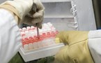 Material de laboratori