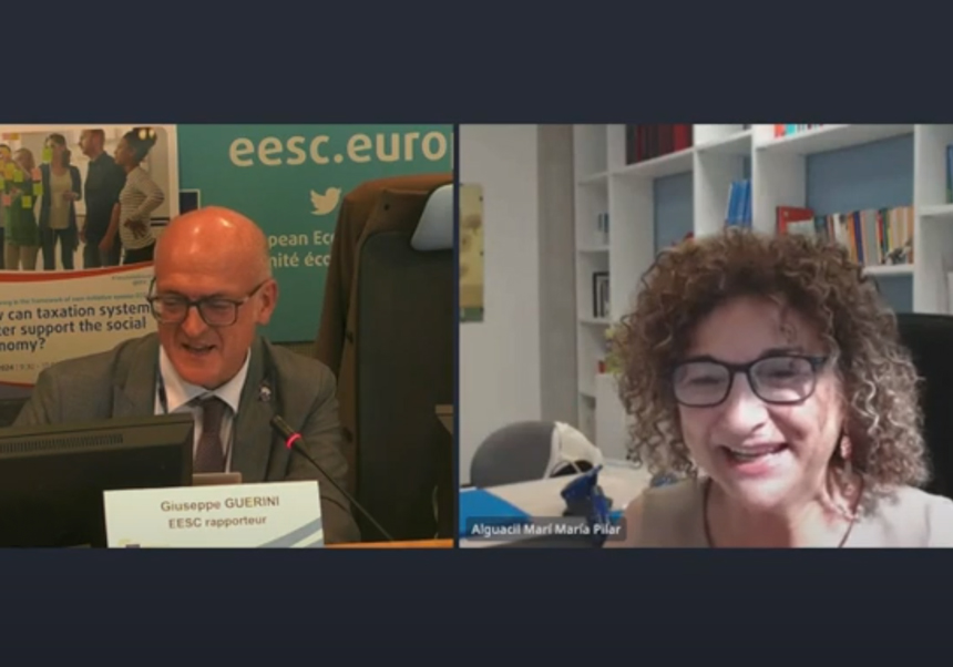 Captura de pantalla de un momento de la reunión mantenida online.