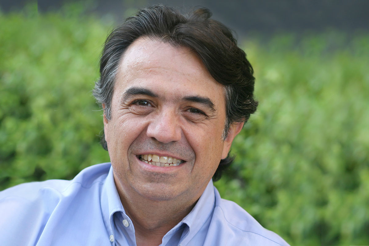Martí Domínguez