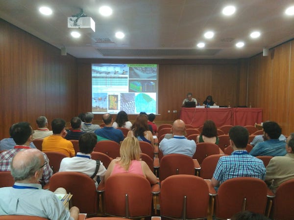 XVIII Congreso Nacional de Tecnologías de la Información Geográfica