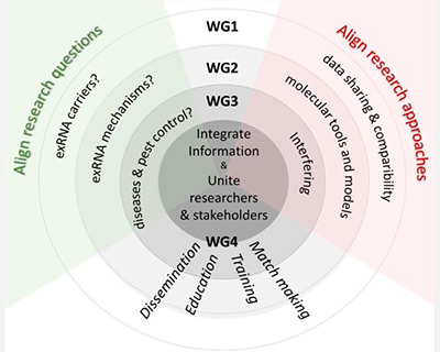 Imagen representativa del proyecto