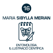 Cabina 16 Maria Sibylla Merian