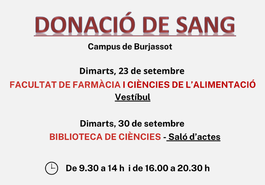 Image de la noticia