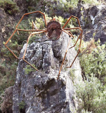 Detall de la ruta per Carrícola. Foto: jardibotanic.org