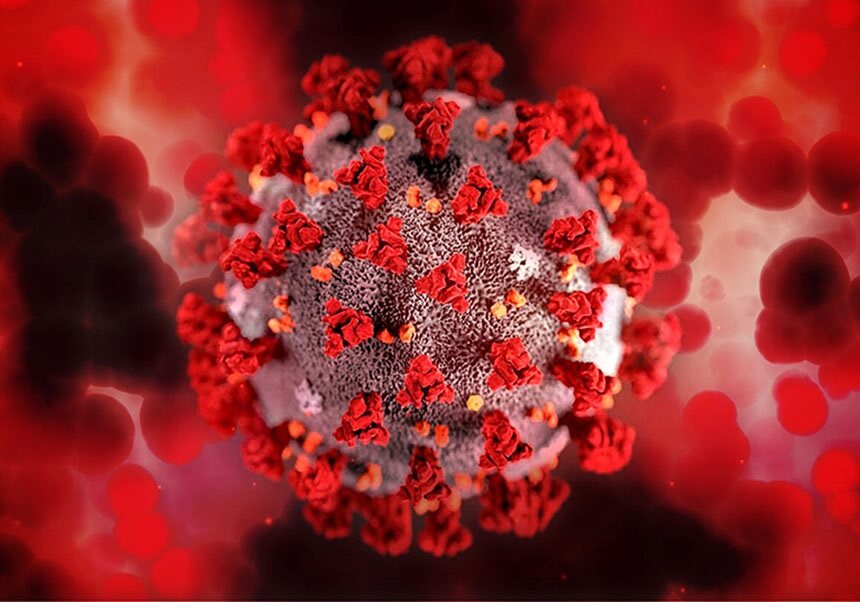 El nou antiviral oferiria protecció ràpida enfront de futures pandèmies com la del COVID-19./ Pixabay