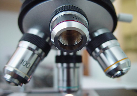 Microscopio