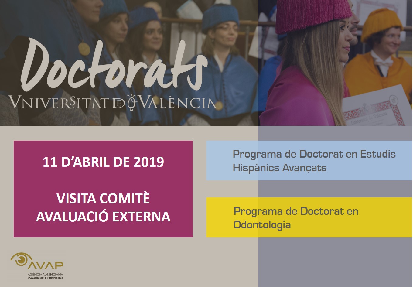 Comité evaluación externa