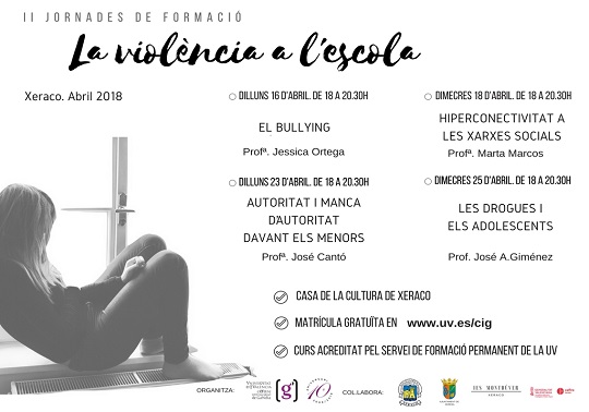 Cartell del curs sobre la violència a escola