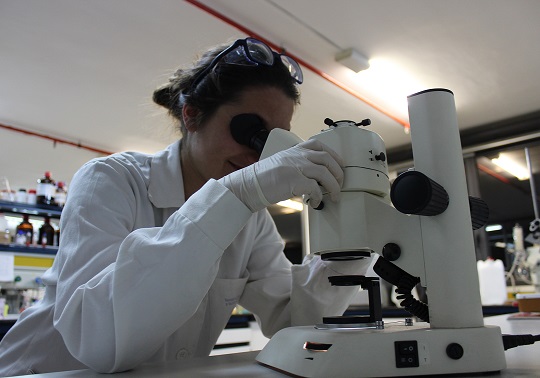 Representative picture of the project