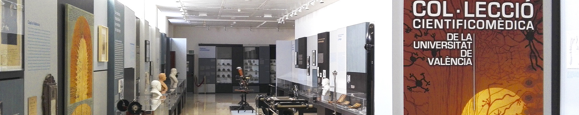 Scientific and medical collection 2. Medicine and Society. 