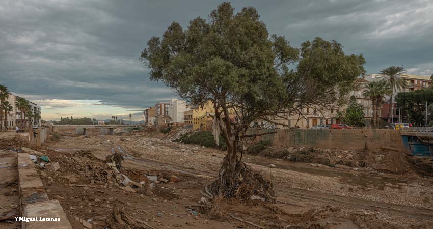 Llit d'un barranc arrasat per l'aigua