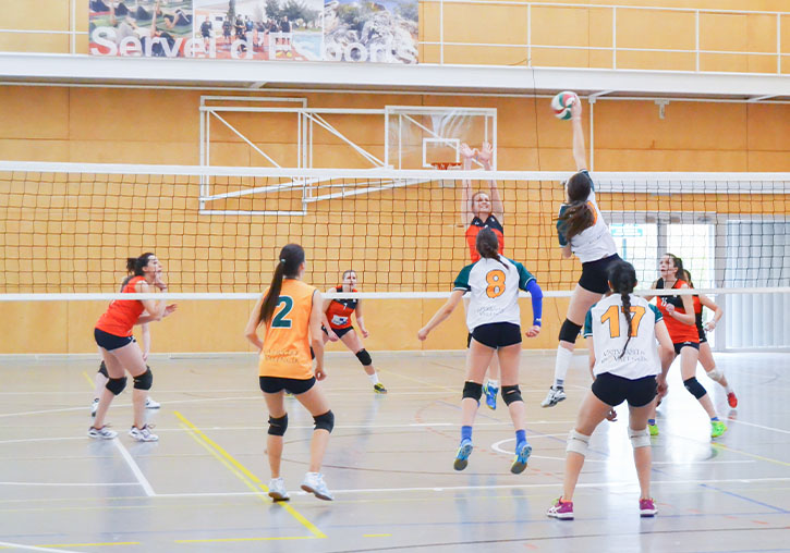 Nine teams of the Universitat de València won the Regional University Sports Championship final