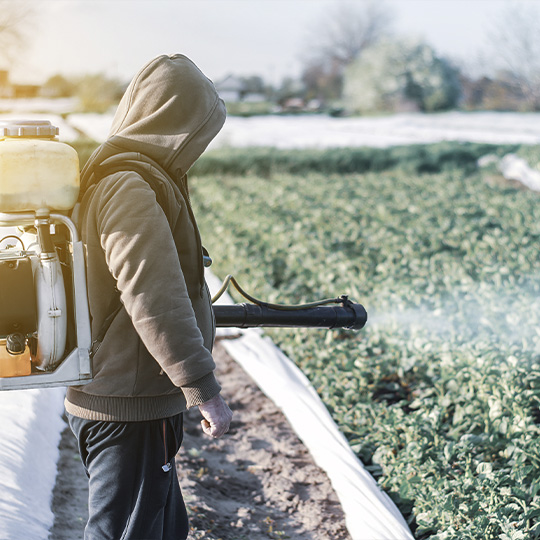 Imagen representativa del proyecto