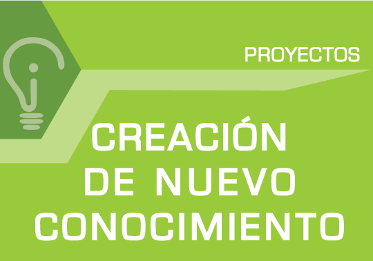 Proyecto. Línea de investigación: Creación de nuevo conocimento.