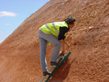 Roadcut plot