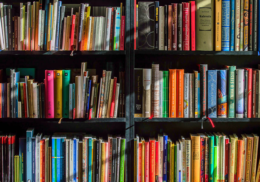 Llibres investigació