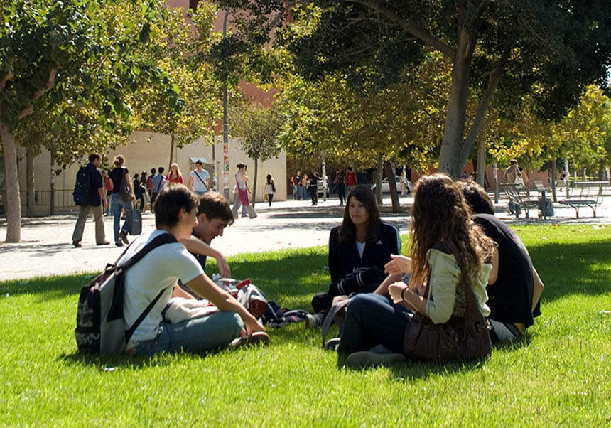 Students on the grass in front of the campus