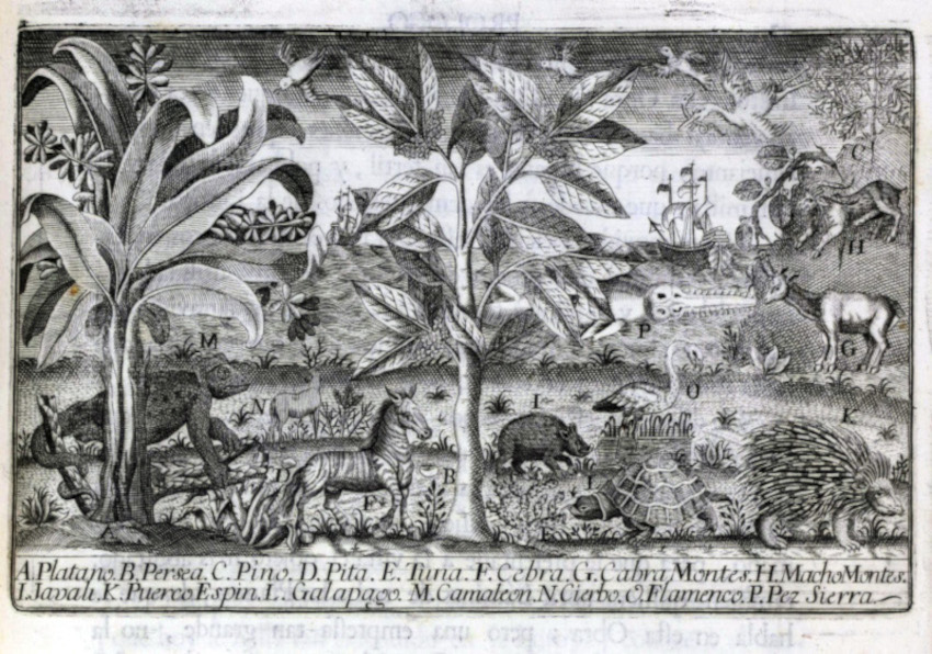 Imatge del esdeveniment:Gravat de plantes i animals