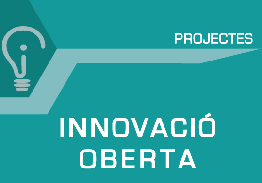 Projecte corresponent amb línea d'actuació 1: Innovació oberta