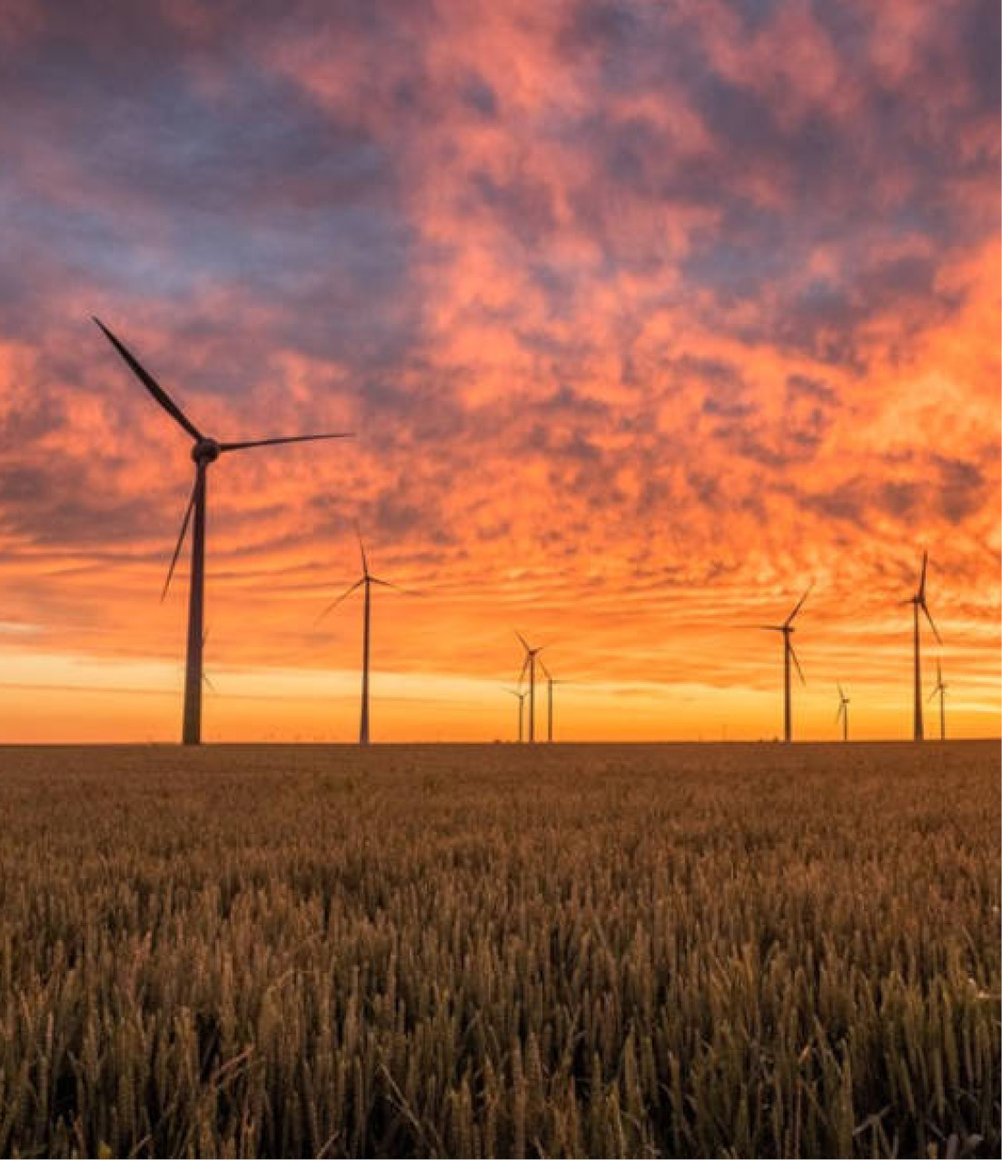 Molins d'energia eòlica