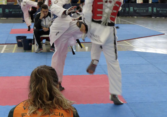 Imatge d'una competició d'arts marcials.