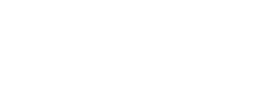 Universitat d'Estiu de Gandia