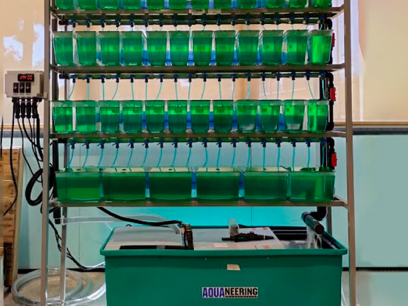 Rack para acuáticos