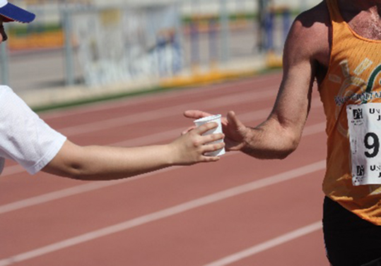 Imatge d'activitats esportives en la Universitat.