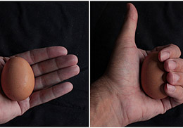 Presión hidrostática sobre un huevo