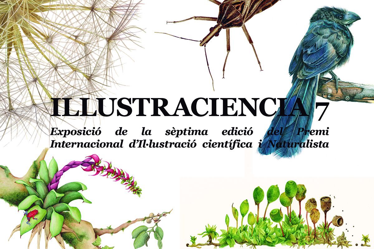 Exposición Illustraciencia en el Jardí Botànic