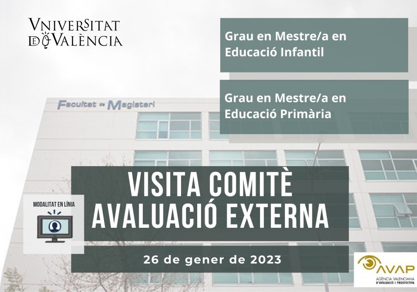 Visita comité evaluación externa