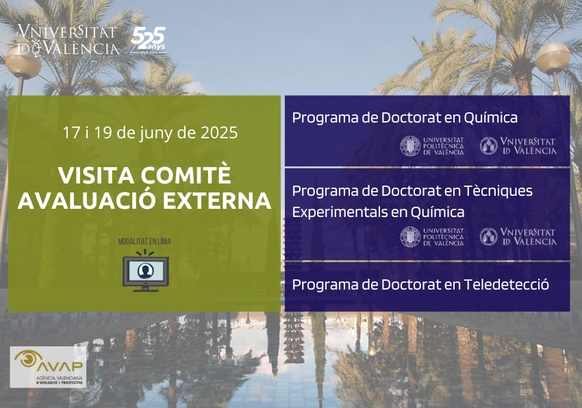 Visita comité evaluación externa