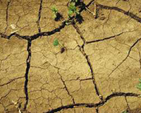 Imagen representativa del proyecto
