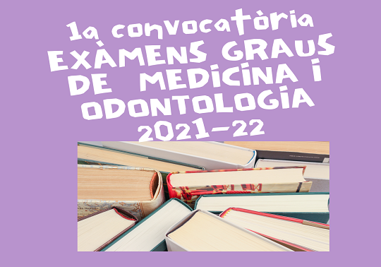 Image de la noticia