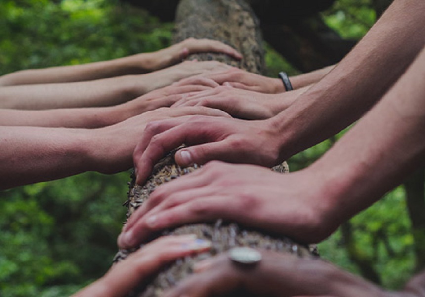 Mans sobre un arbre