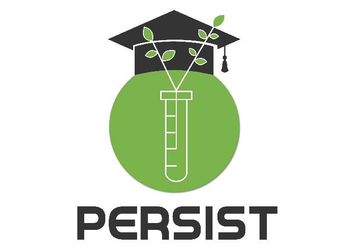 Logo de Persist