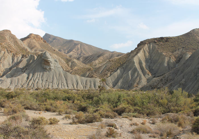 Tabernas Desert