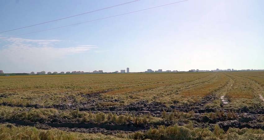 Vista paisatge d'horta