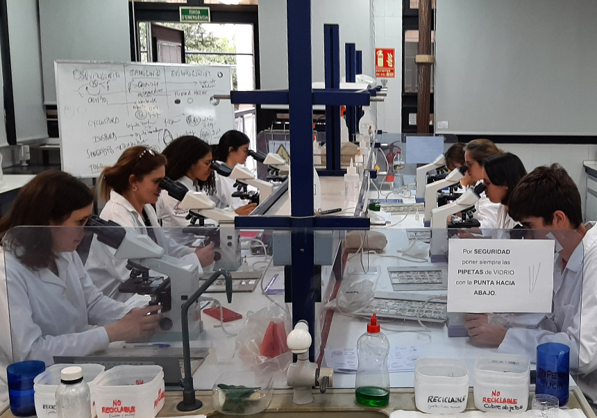 Estudiants durant una sessió pràctica en el laboratori.