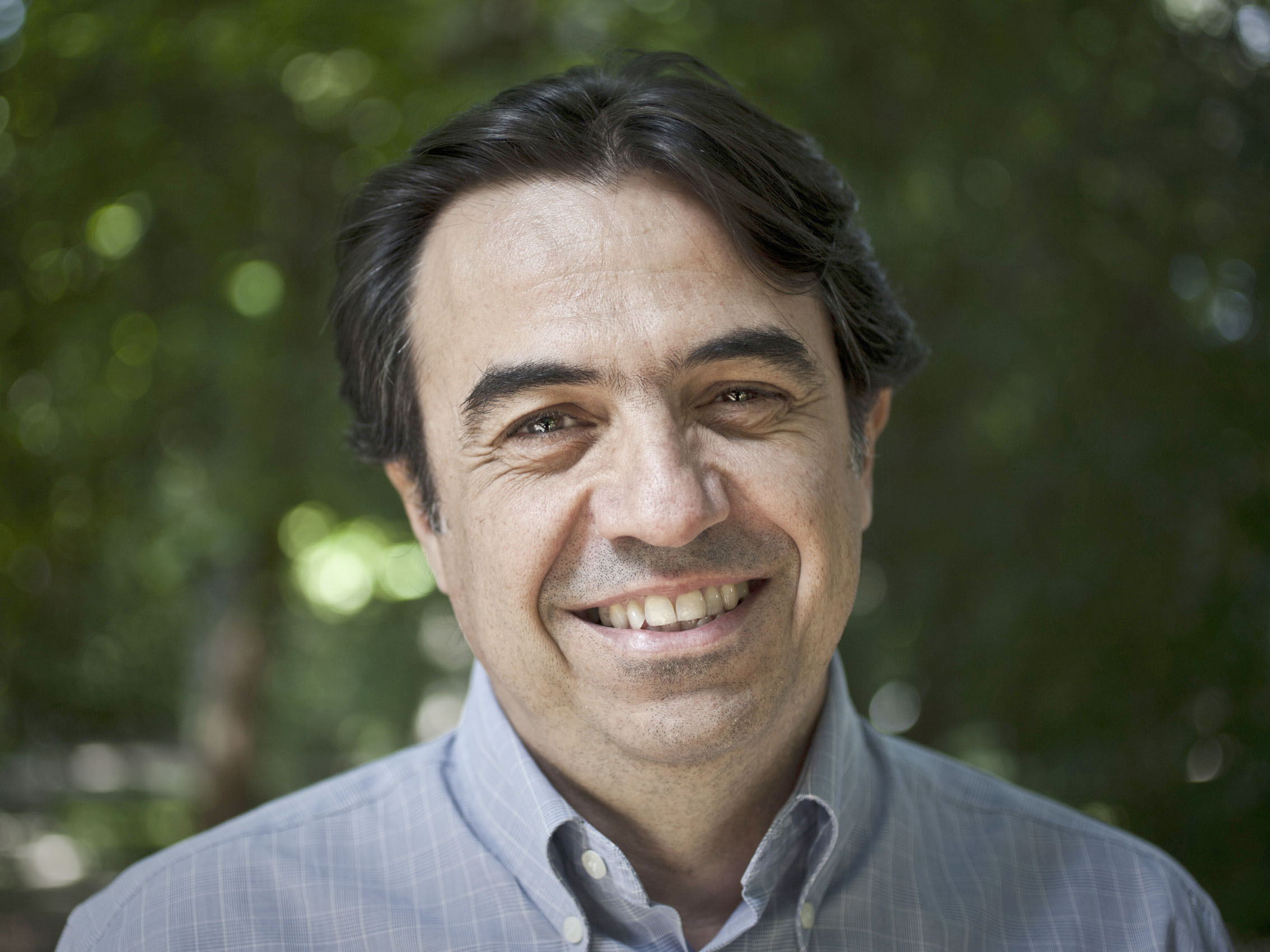 Representative picture of the new