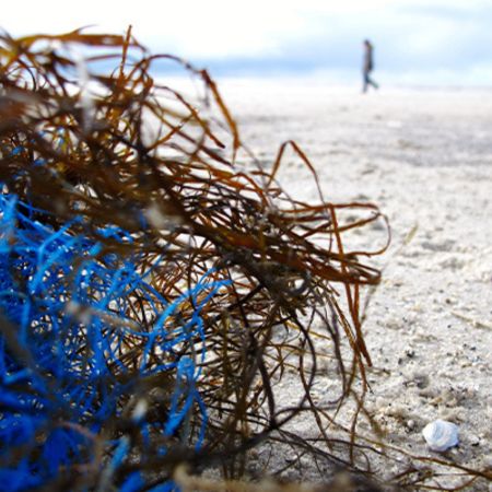 Fotografia de plàstic sobre la sorra de la platja.