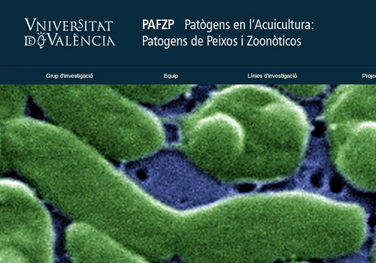 Captura de la portada del web