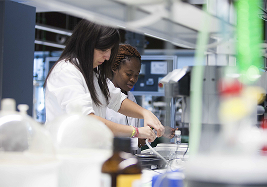 Científiques al laboratori