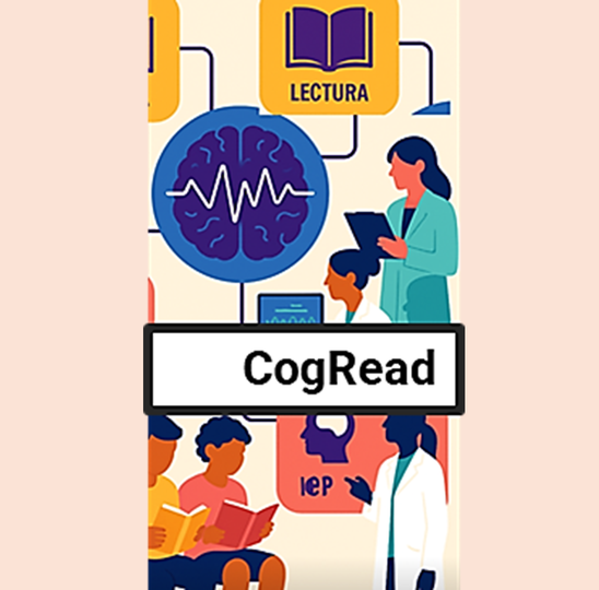 Imagen representativa del proyecto