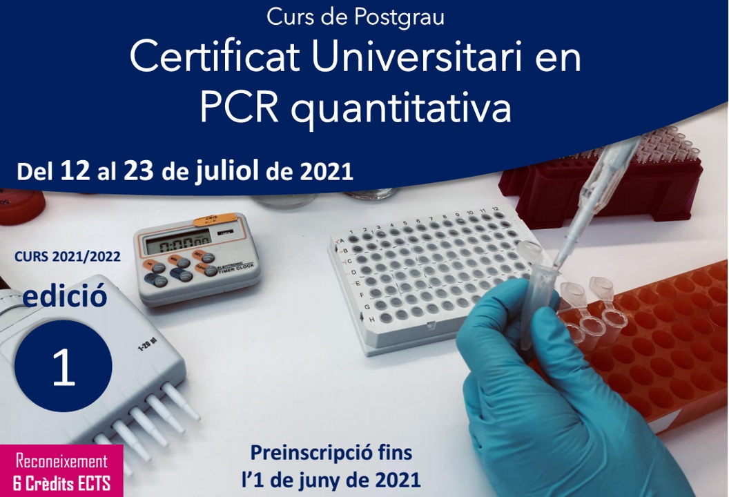 Image de la noticia
