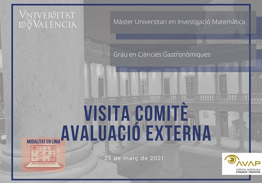 Comitè avaluació externa