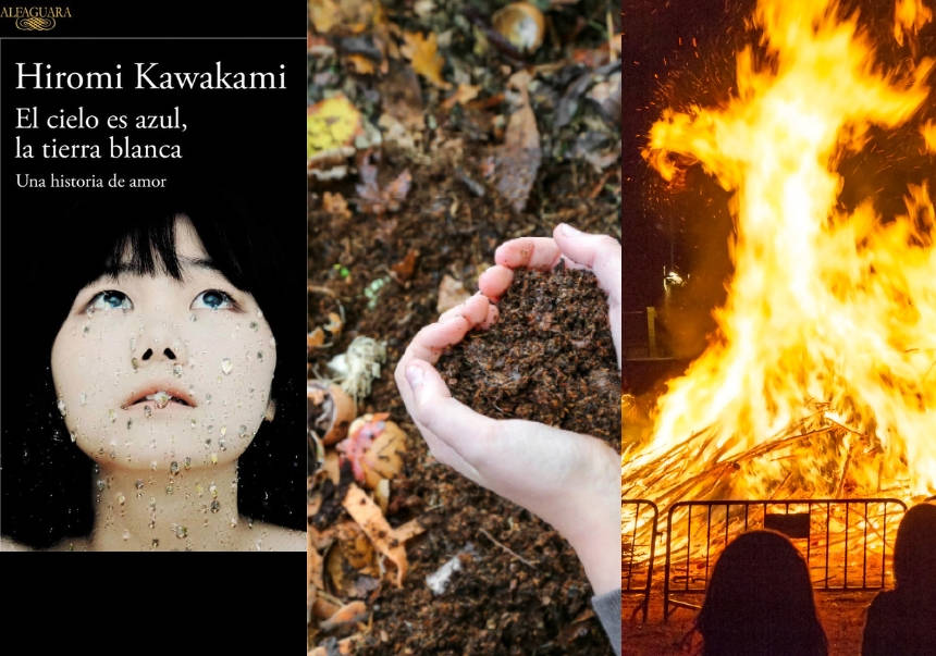 Montaje fotográfico de algunas de las actividades propuestas por Alumni UV en febrero.