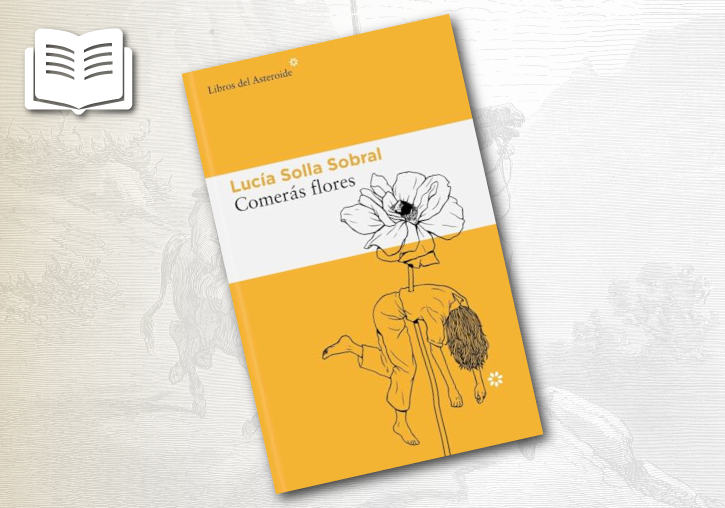 Portada de la novela 