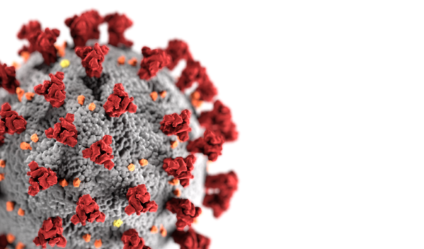 Molécula de coronavirus