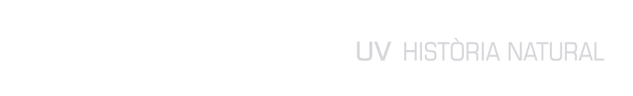 Logo del portal